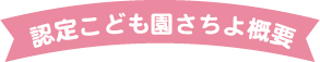 認定こども園概要